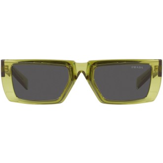 PR 24YS crystal fern