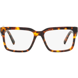 PR 10YV VAU1O1 honey tortoise