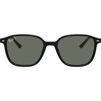 Leonard RB2193 black green polar