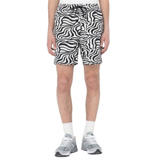 Dickies Shorts Uomo Cloud Zebra