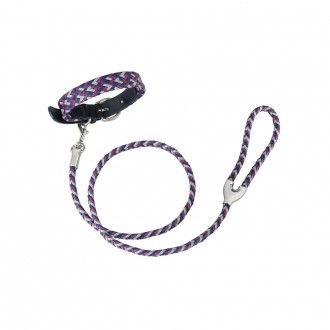 Reflective dog collar and leash medium