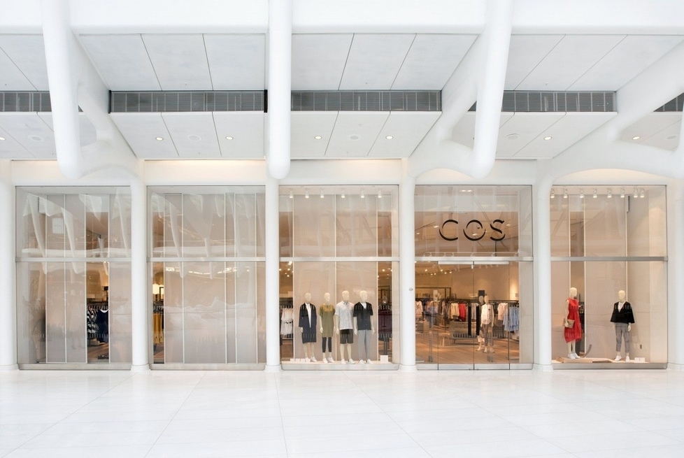 Cos New York Shopenauer