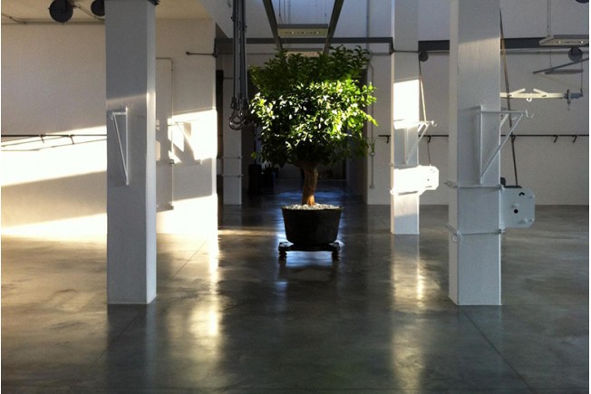Gianfrate Showroom