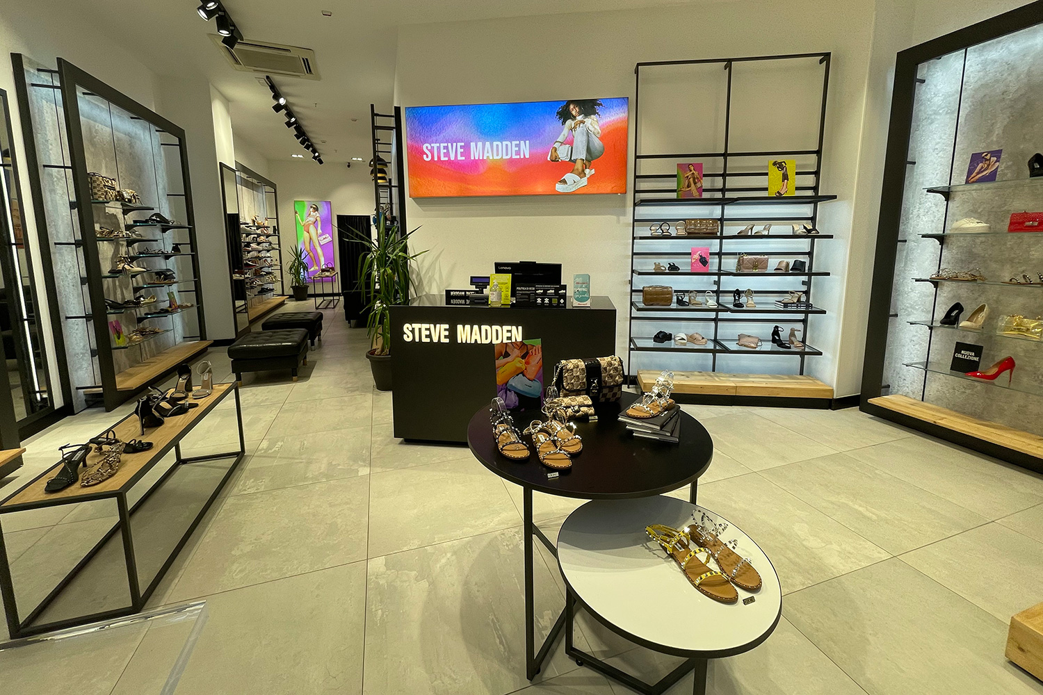 Espectacular insuficiente público Steve Madden Salerno | SHOPenauer